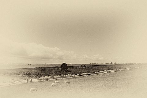 An der Elbe 2.TIFF