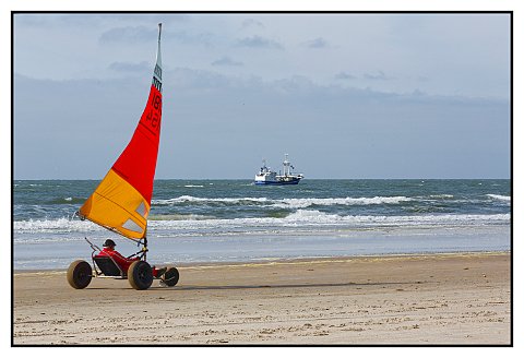 W1A5179 DxO